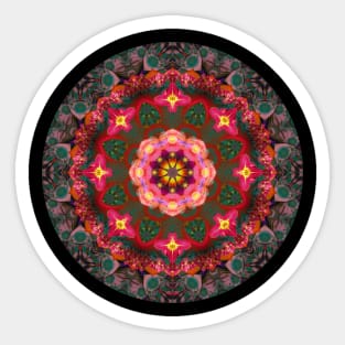 Mandala Magic - Daily Focus 3.12.2023 Sticker